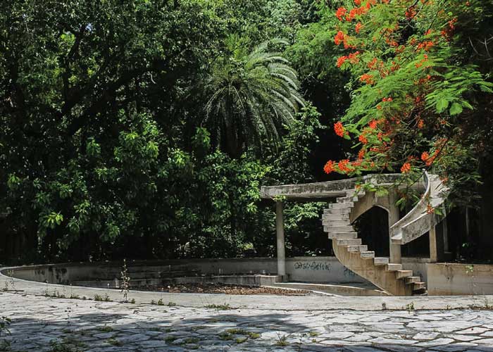 old concrete swimming pool without water in a tropical garden