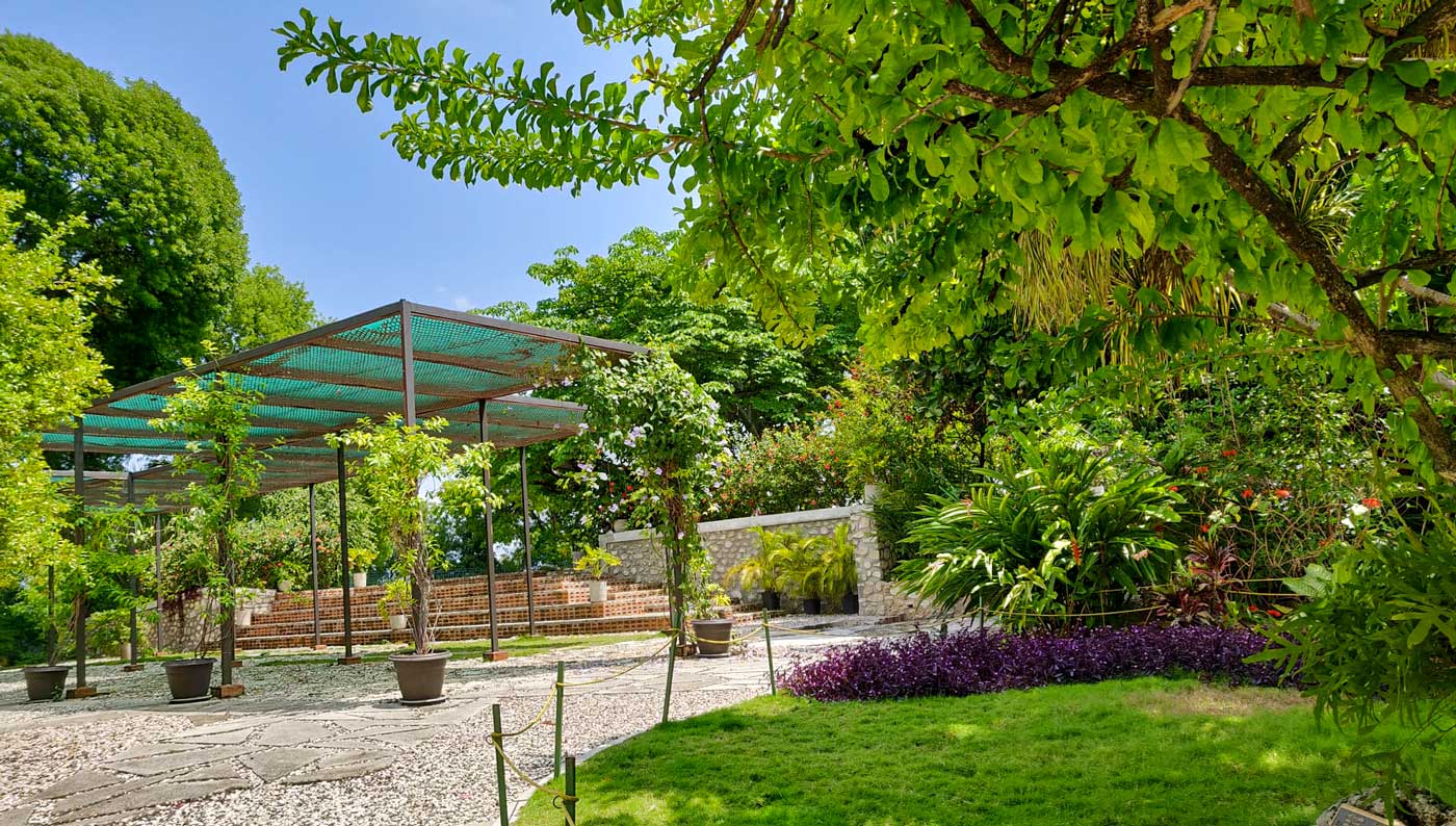 lush green garden area with path