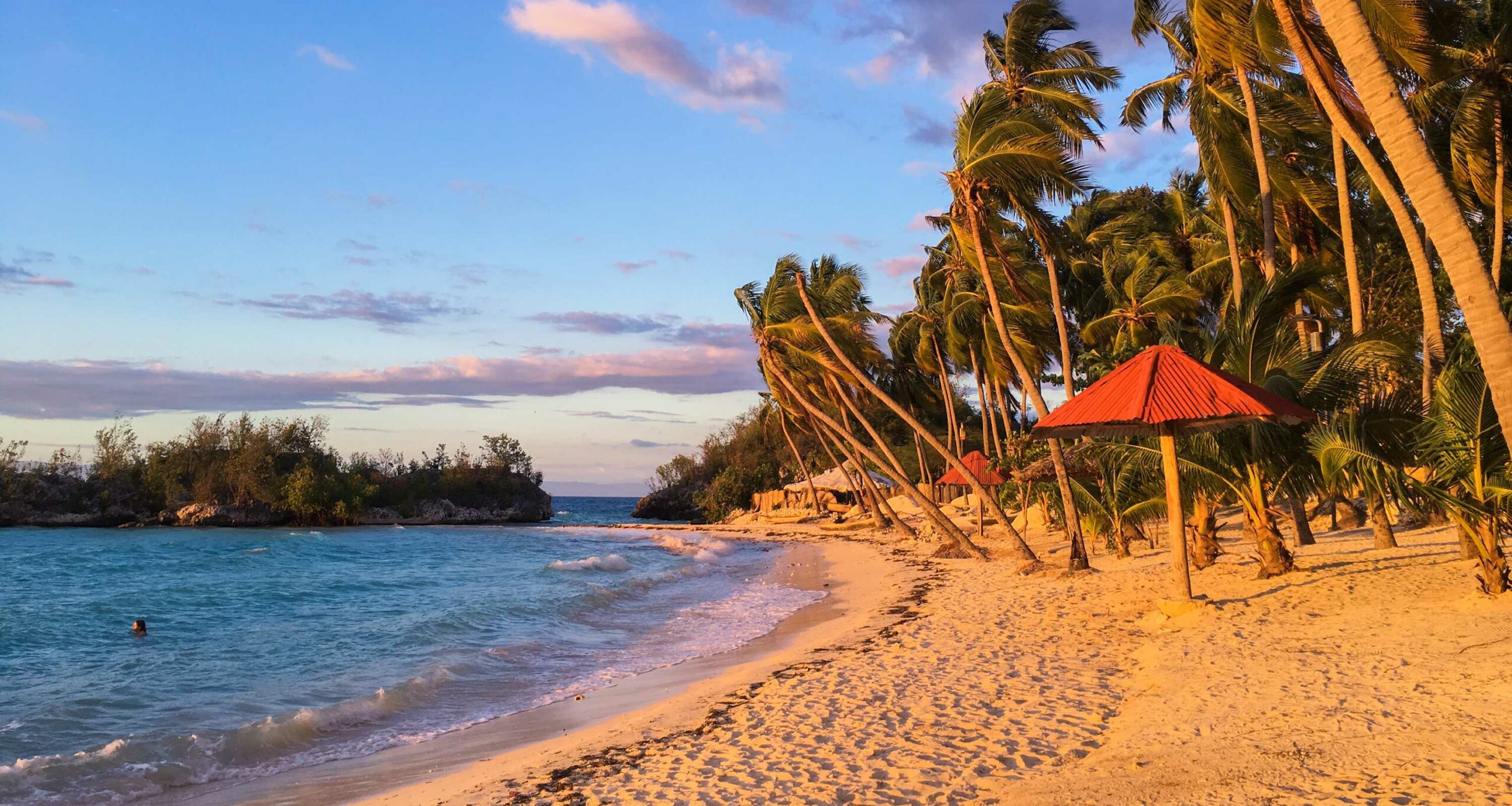 Umbrellas and palm trees on Kokoye Beach, Haiti