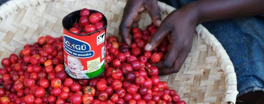 Fresh cherries on display at a market in Haiti