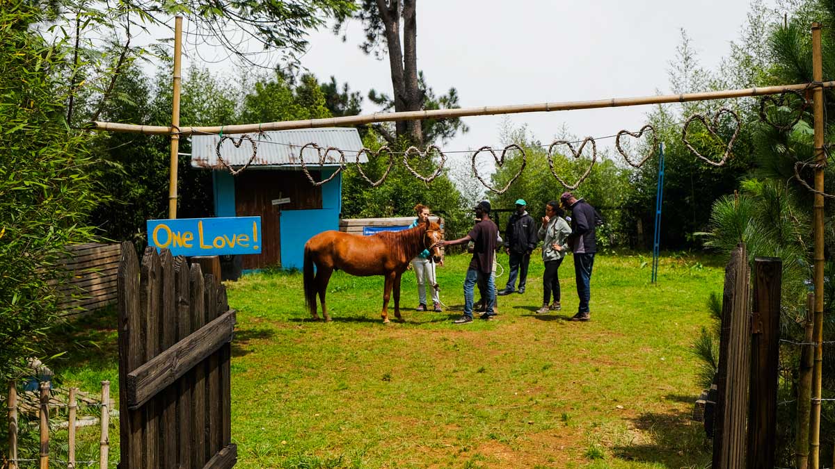 Group of people and a horse stand in a farm yard in Haiti