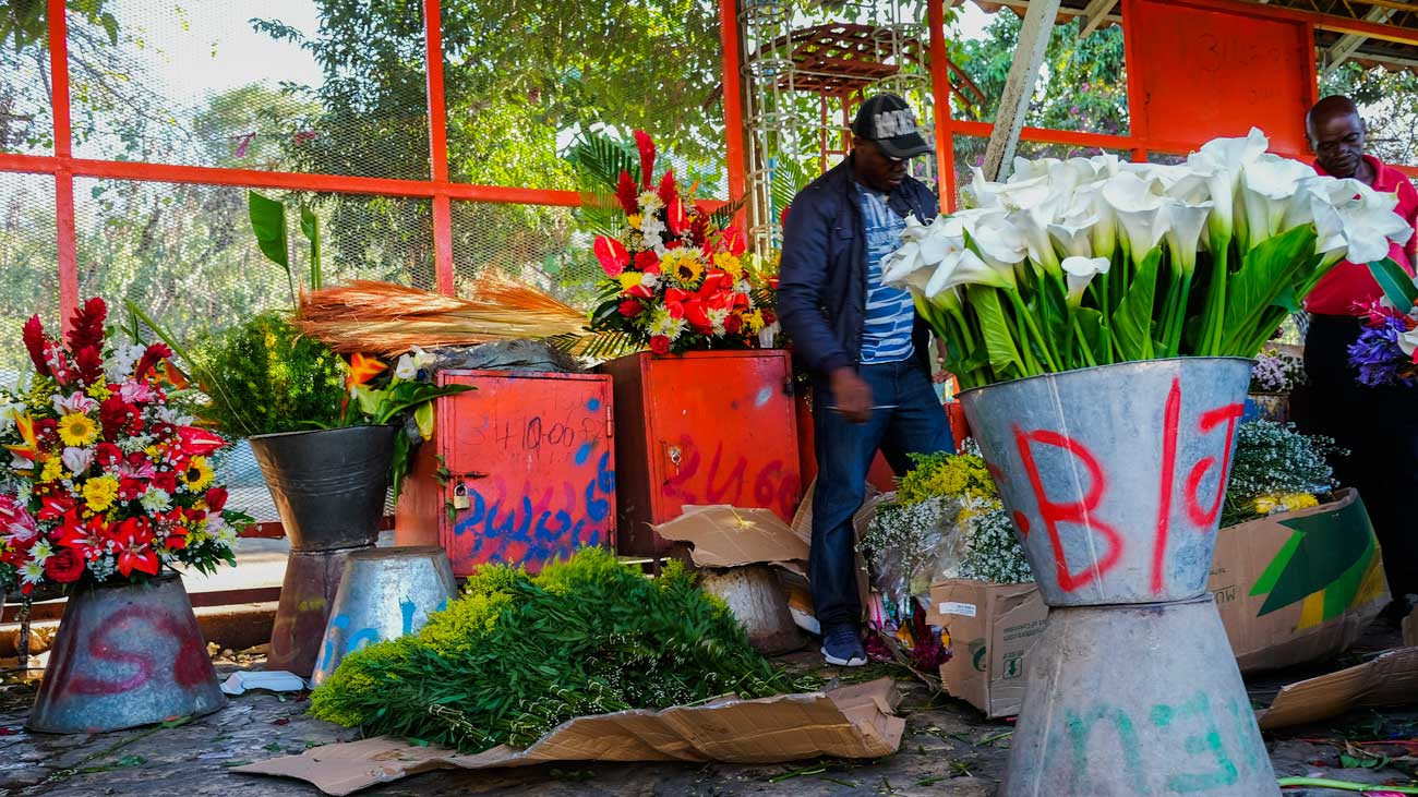 Two florists stand among flowers on display at the flower market at Place St. Pierre, Pétion-Ville