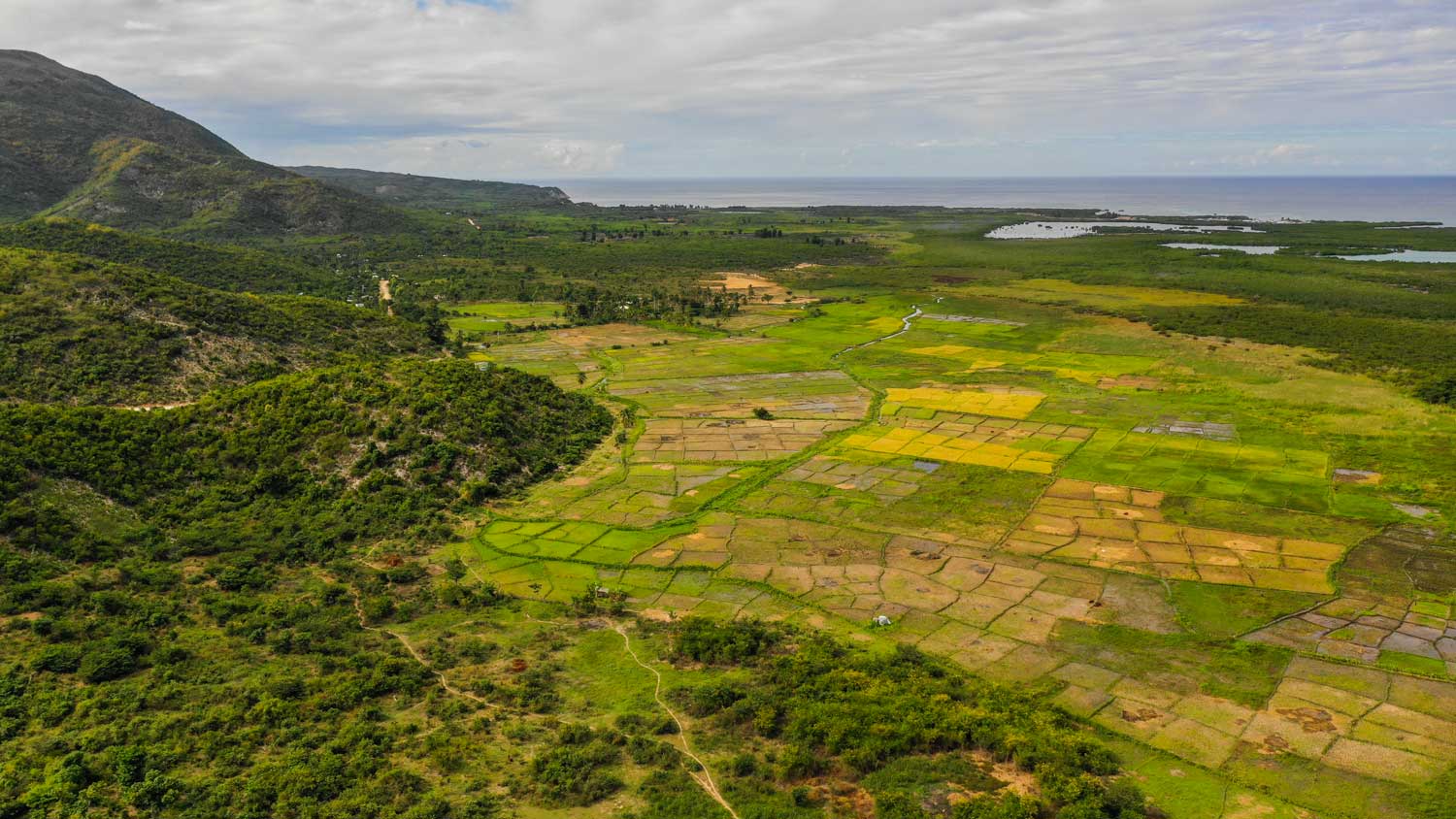 Aerial photo of rice fields by the coast in Corail, Haiti