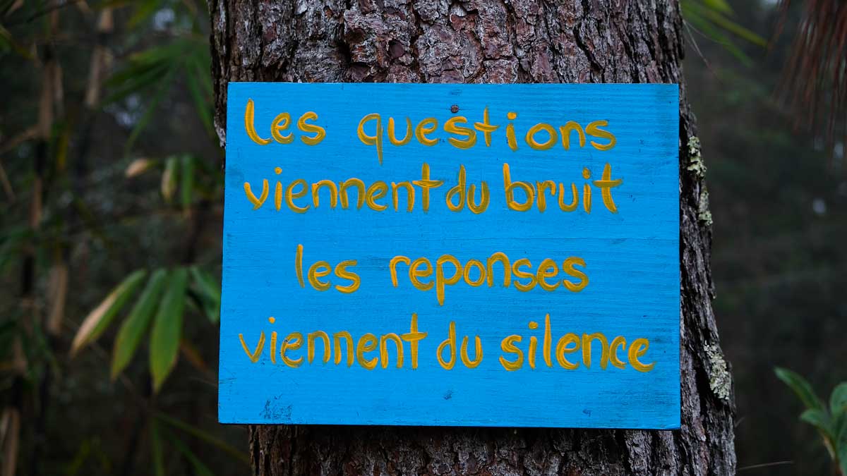 Sign in French on a tree