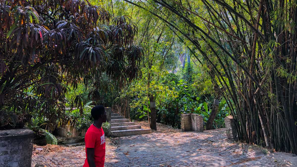 Garden at Villa Kalewès, Petion-Ville, Haiti