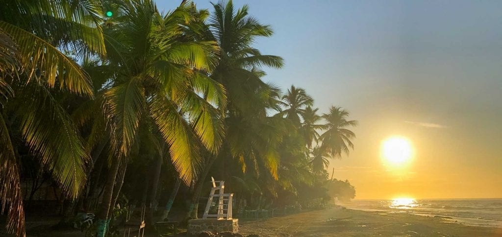 sun rising over beach with palm trees and lifeguard chair