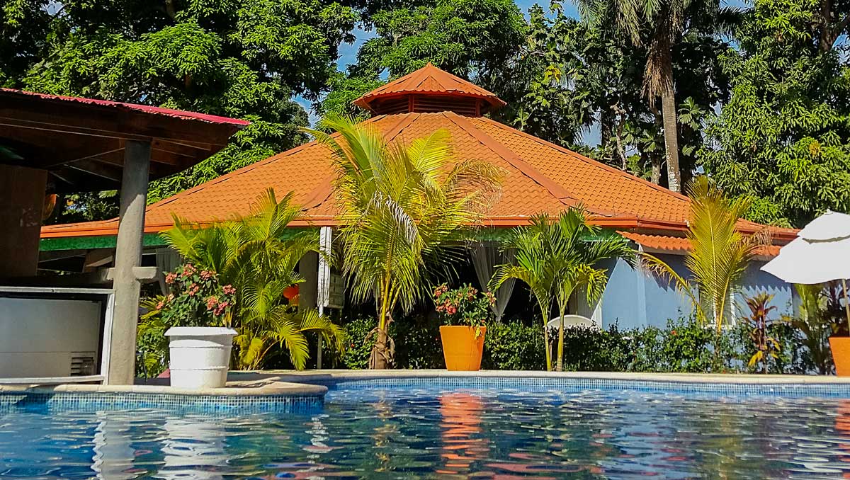 hotel pool surrounded by tropical trees