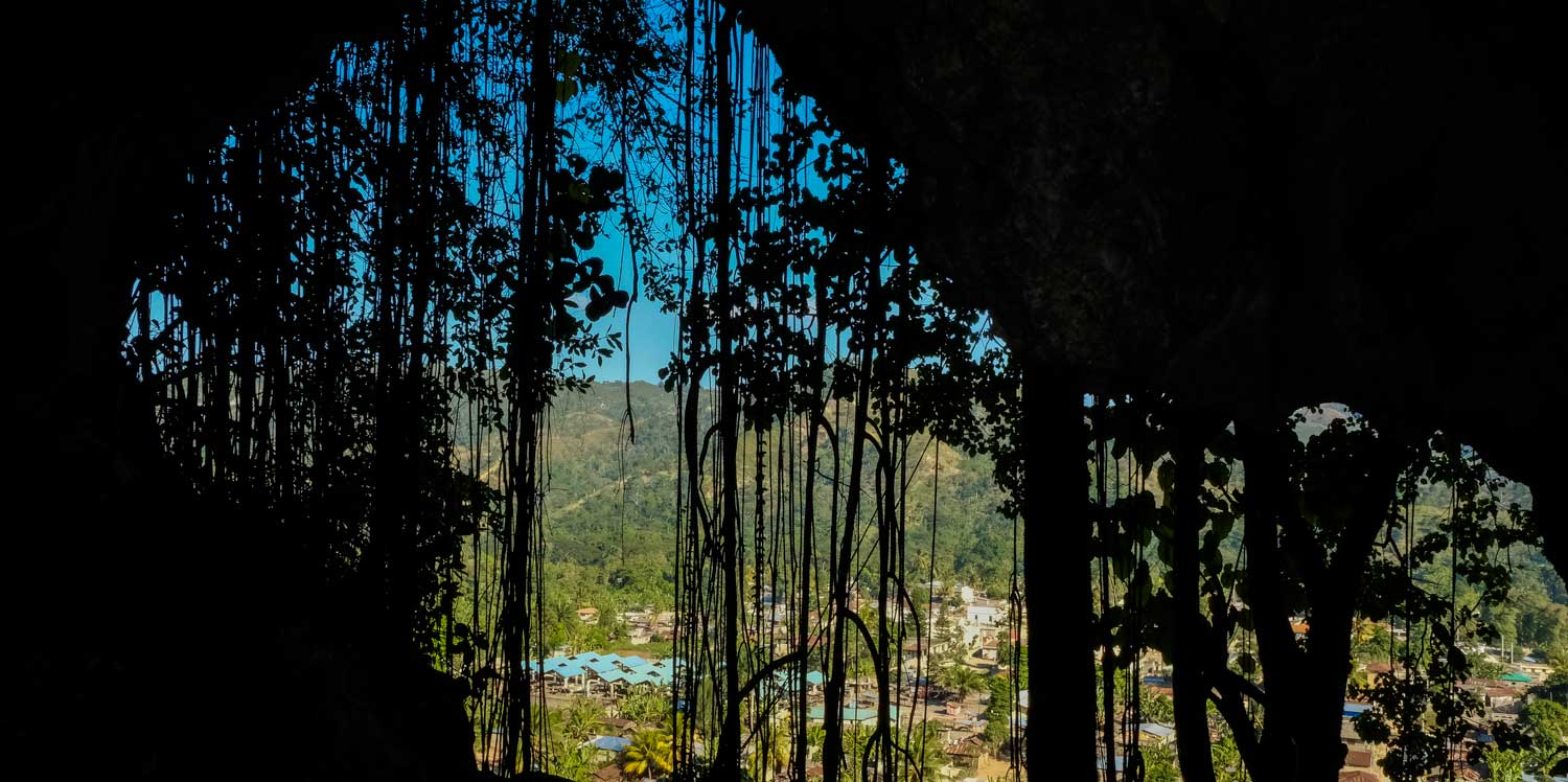 view from inside a cave with vines in entrance 