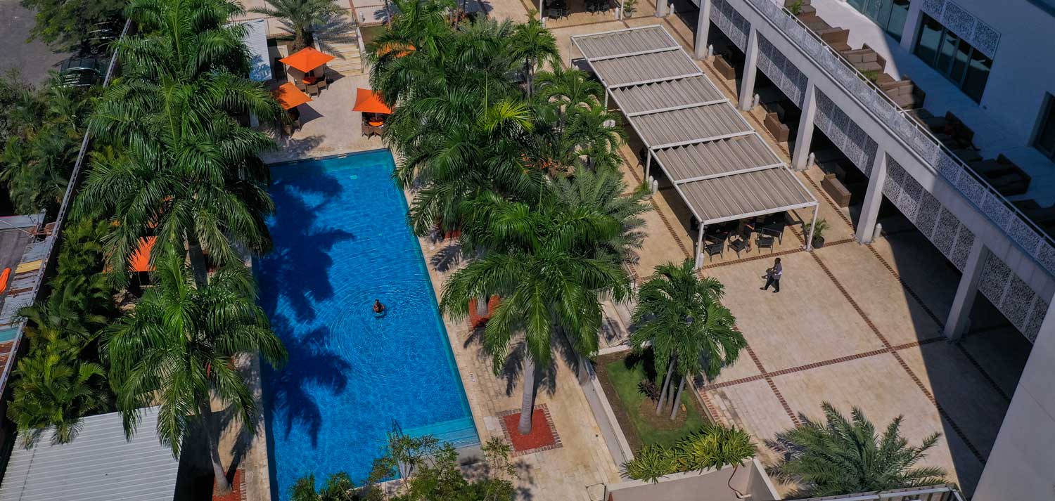 hotel pool area with palm trees