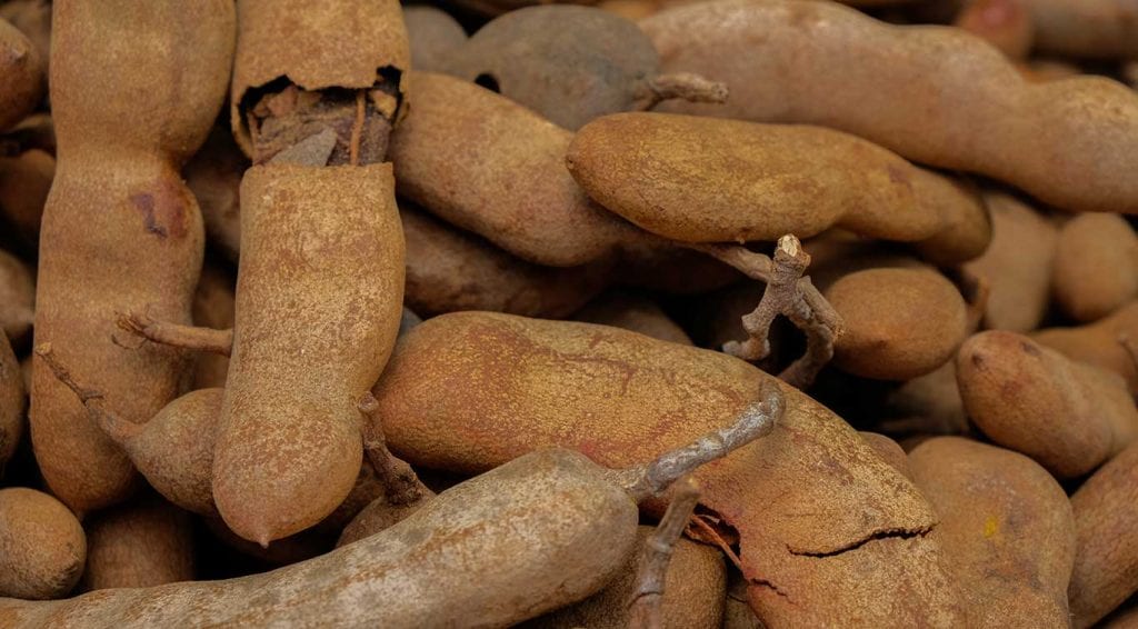 Tamarind fruits