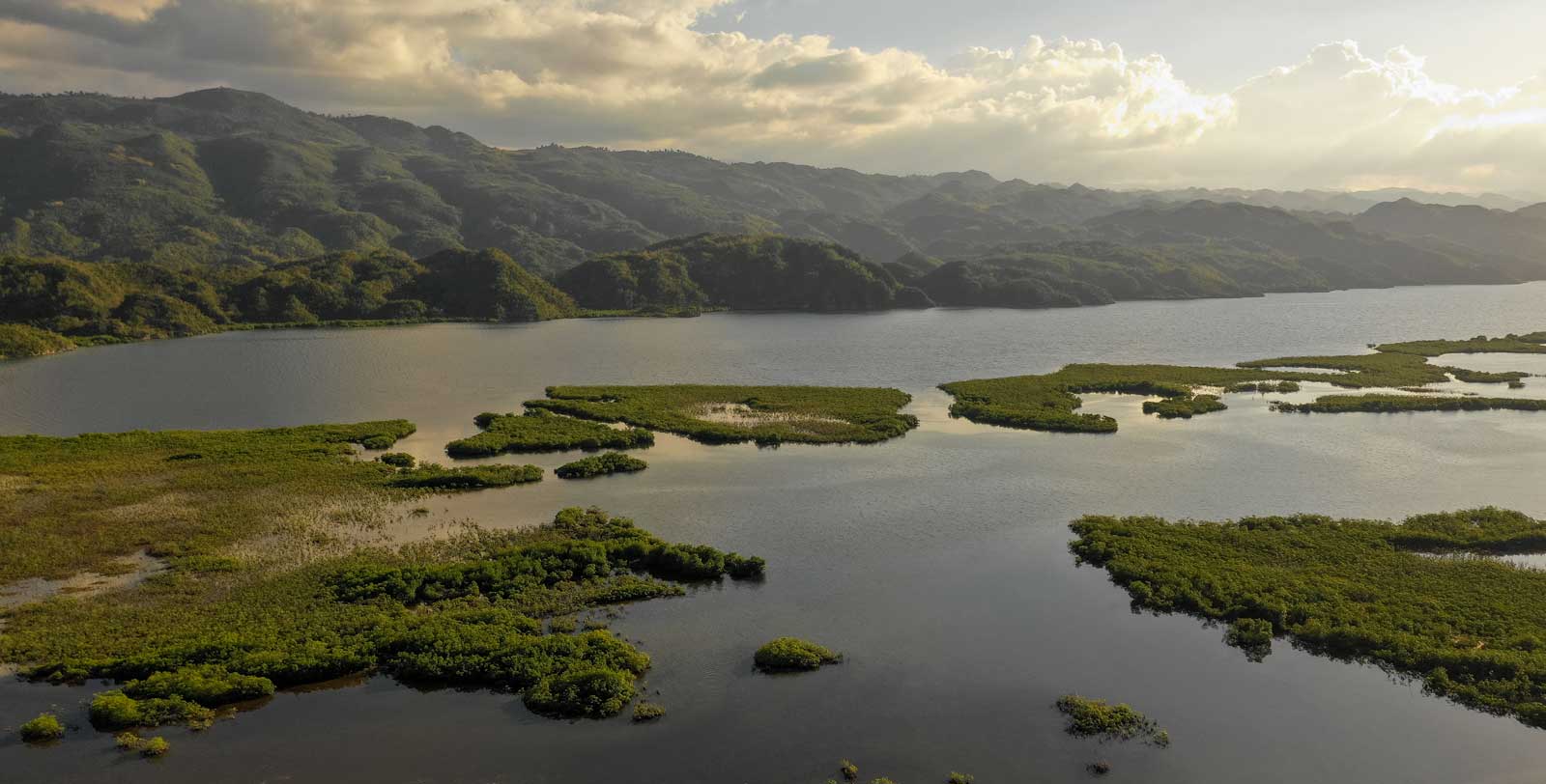 costal area with ocean, mangrove forest and mountains