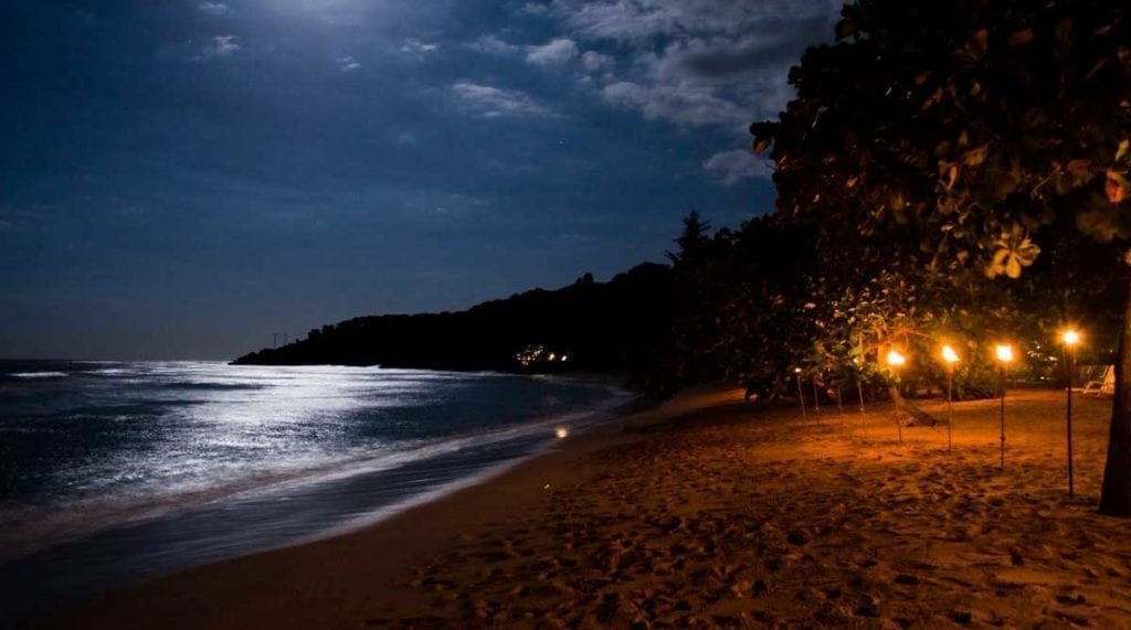 beach at night with moonlight reflecting in the ocean